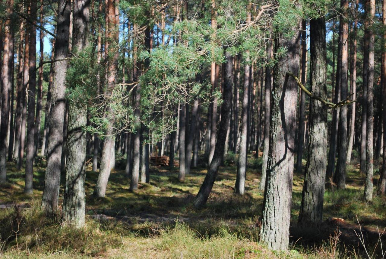 Willa Kalinowa14 Kopalino Zewnętrze zdjęcie
